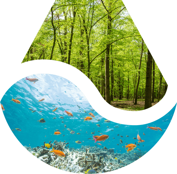 株式会社永進の想いイメージ