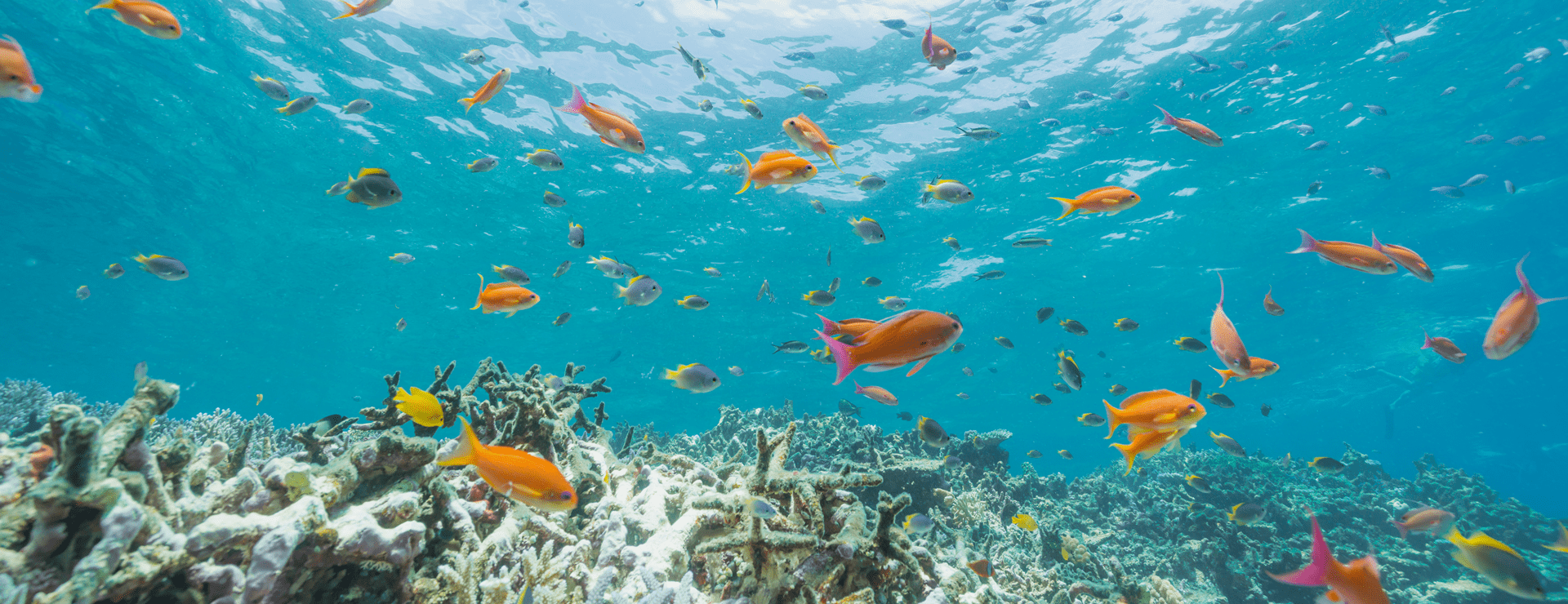 千葉県柏市の株式会社永進02