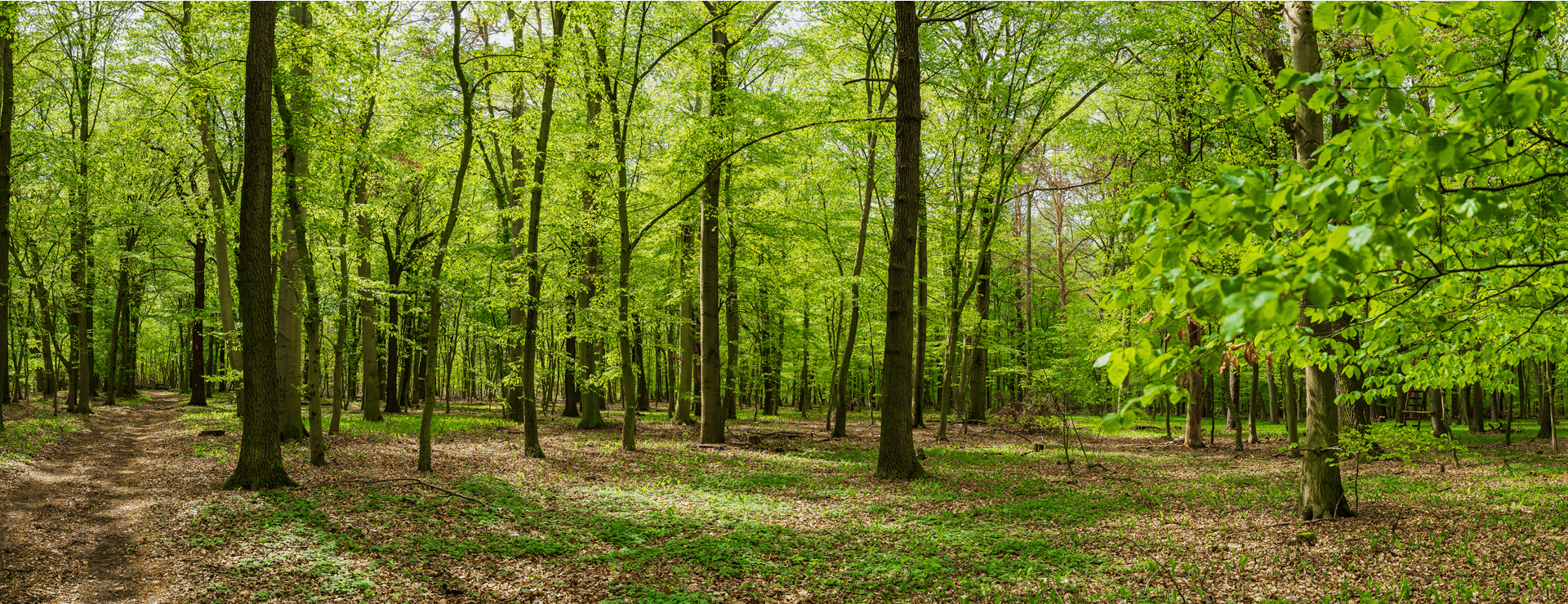 千葉県柏市の株式会社永進03