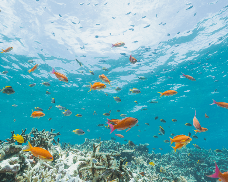 千葉県柏市の株式会社永進02