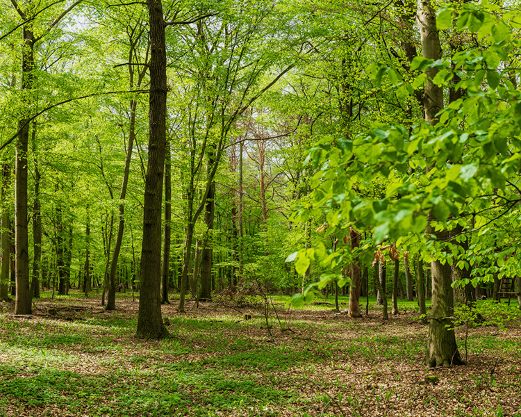 千葉県柏市の株式会社永進03